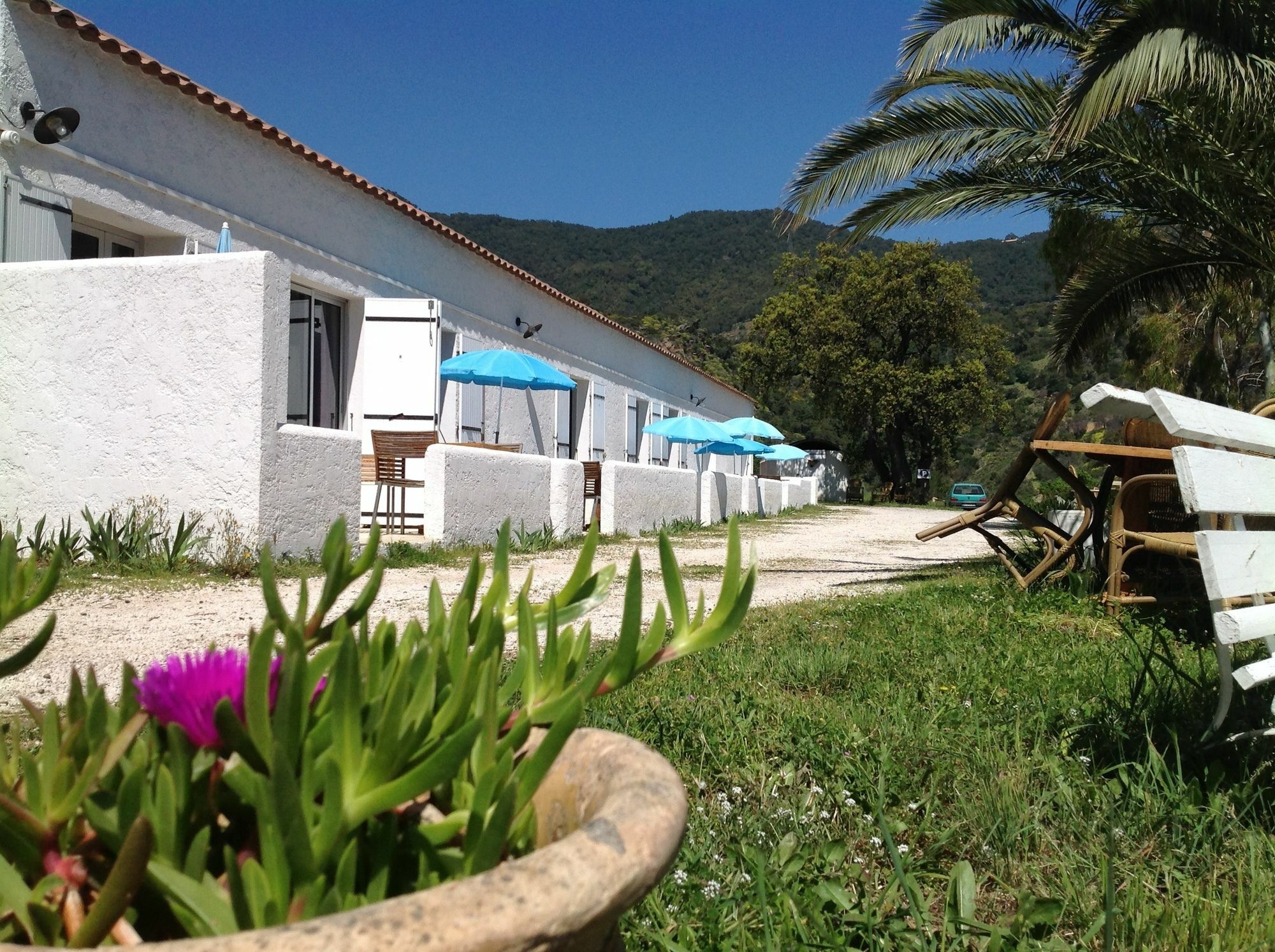 Azur Hotel Le Lavandou Exterior foto